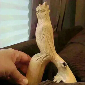 Handcarved driftwood  parrot